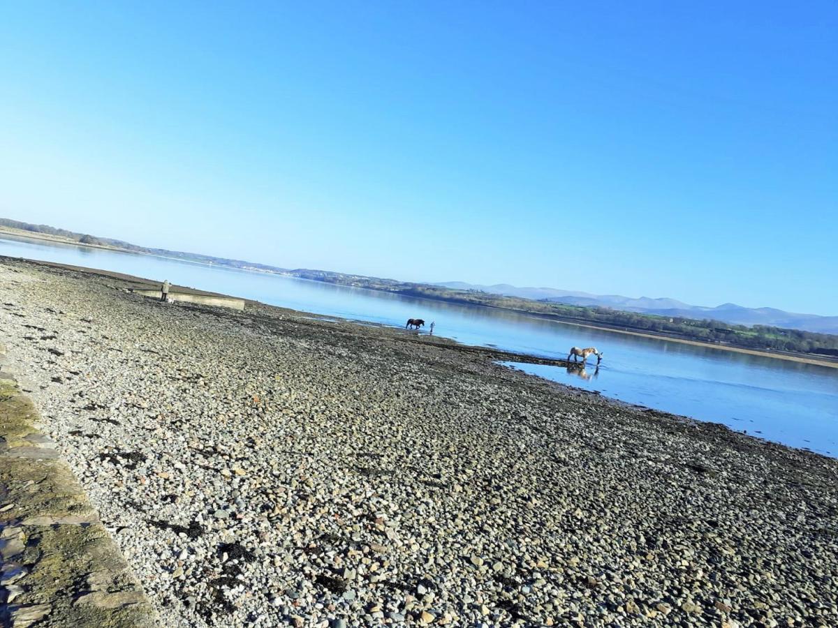 Gwenallt Dwyran Kültér fotó