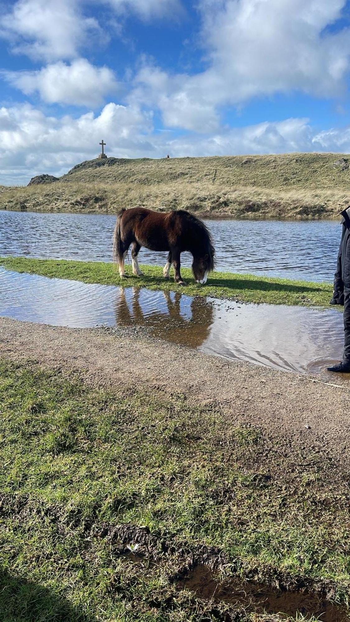 Gwenallt Dwyran Kültér fotó